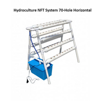 Hydroculture NFT System